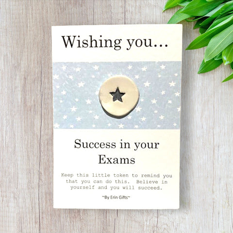 Wishing You Success in Your Exams   Ceramic Wish Token and Card