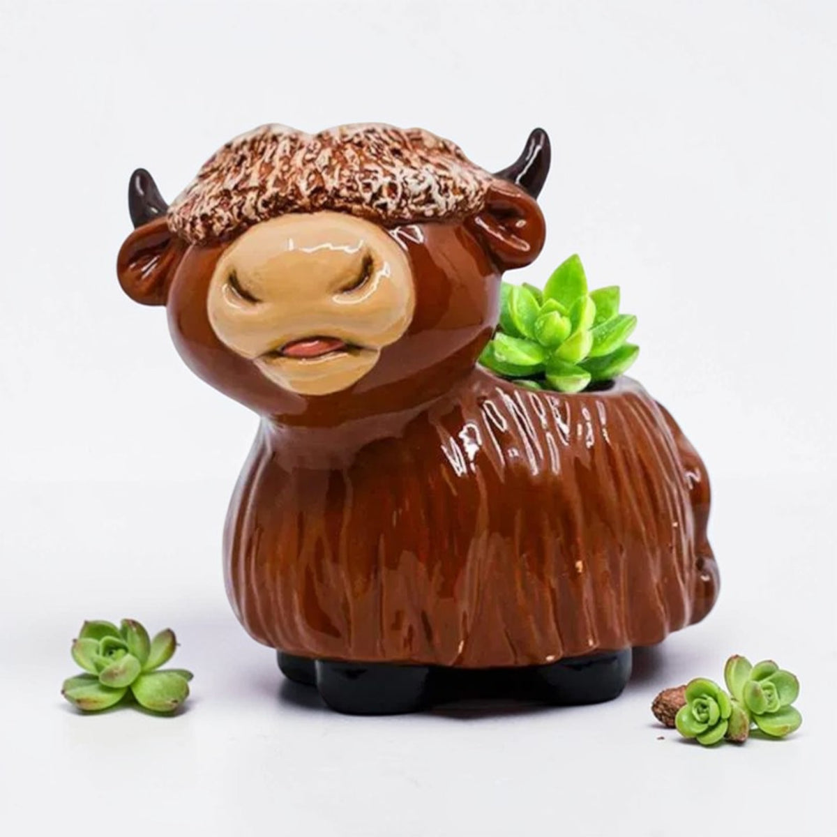 Highland Coo Planter
