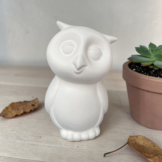 Owl Shaped Money Box