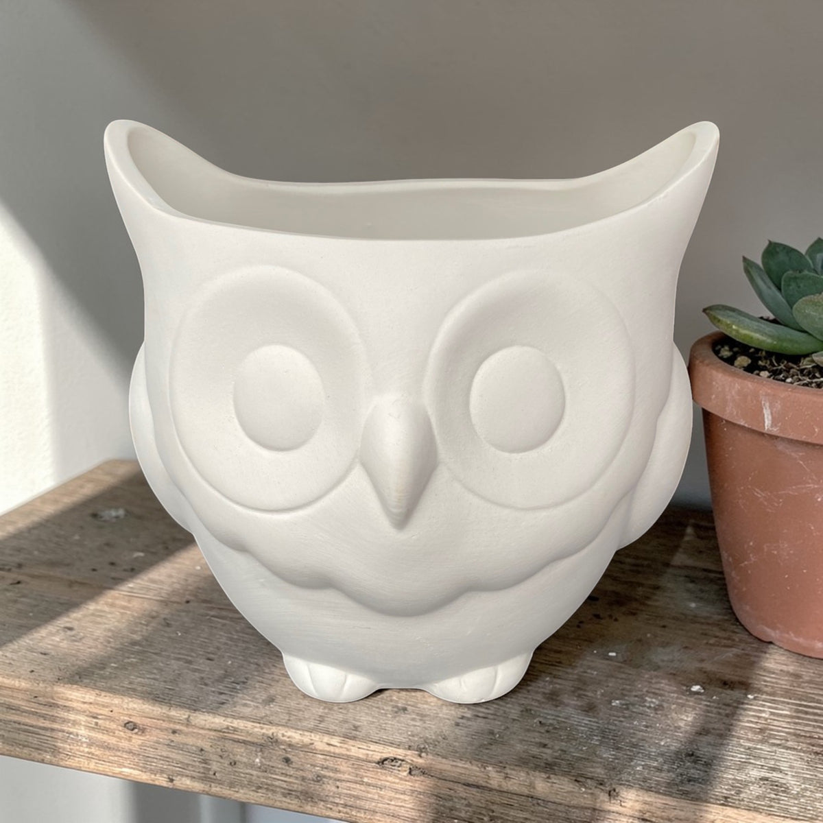 Owl Planter
