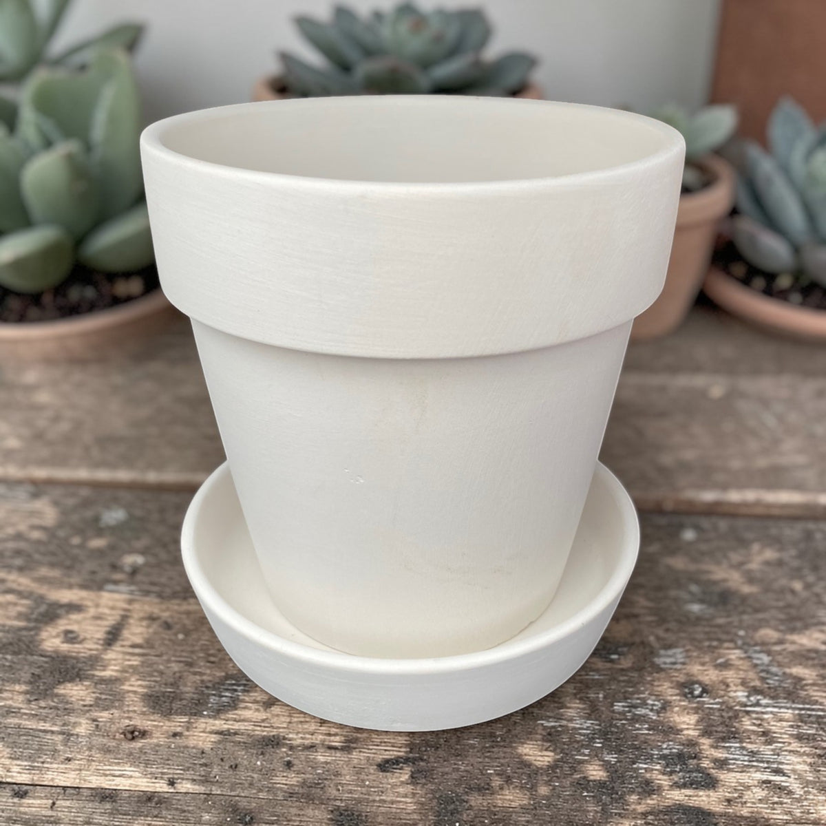 Plant Pot and Saucer Set