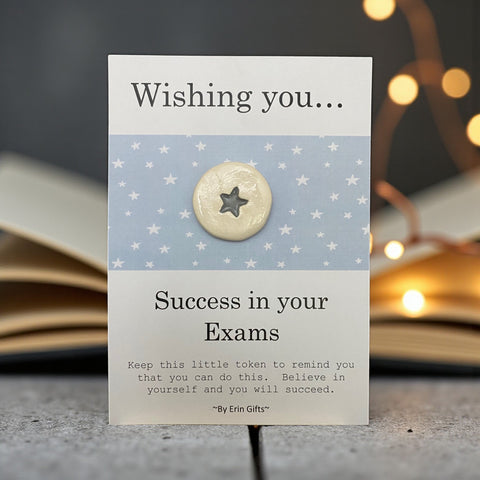 Wishing You Success in Your Exams   Ceramic Wish Token and Card